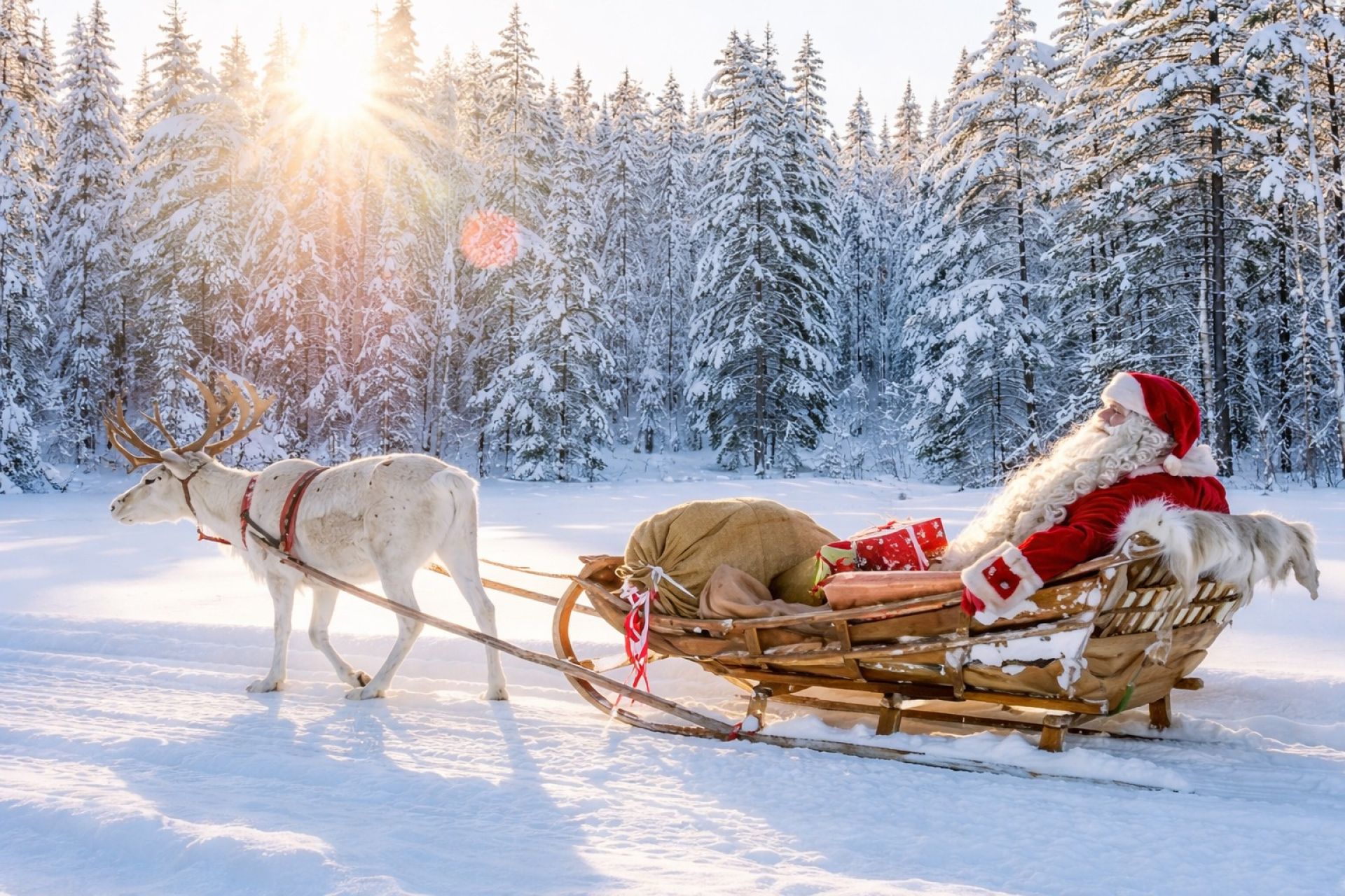 Лапландия 2027: Нова година в Рованиеми – магията на Дядо Коледа