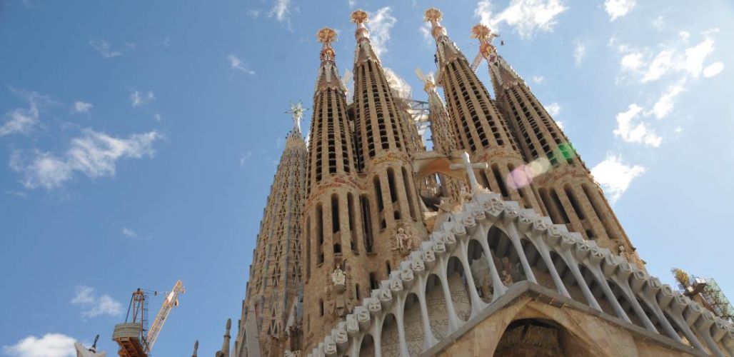 Категория D