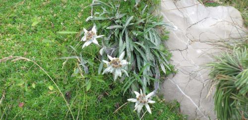 Наст. в хотели 4, 3 и 2 звезди