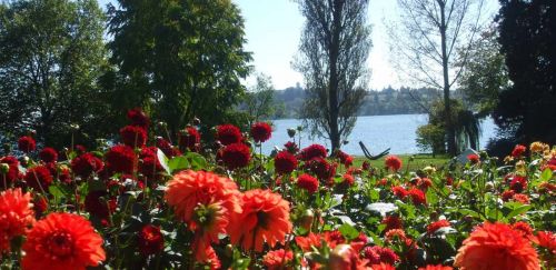 Настаняване в 2* или 3*