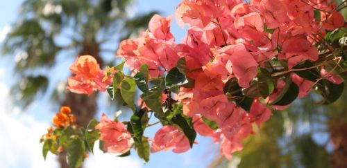 Наст. в хотели 4, 3 и 2 звезди