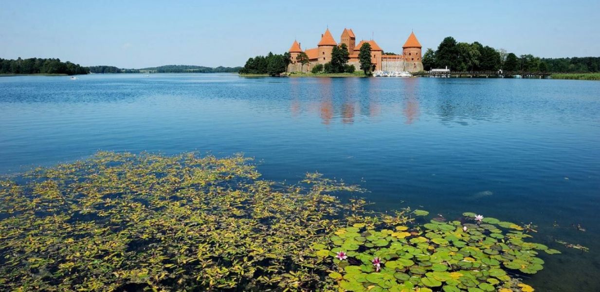 Прибалтика и Полша