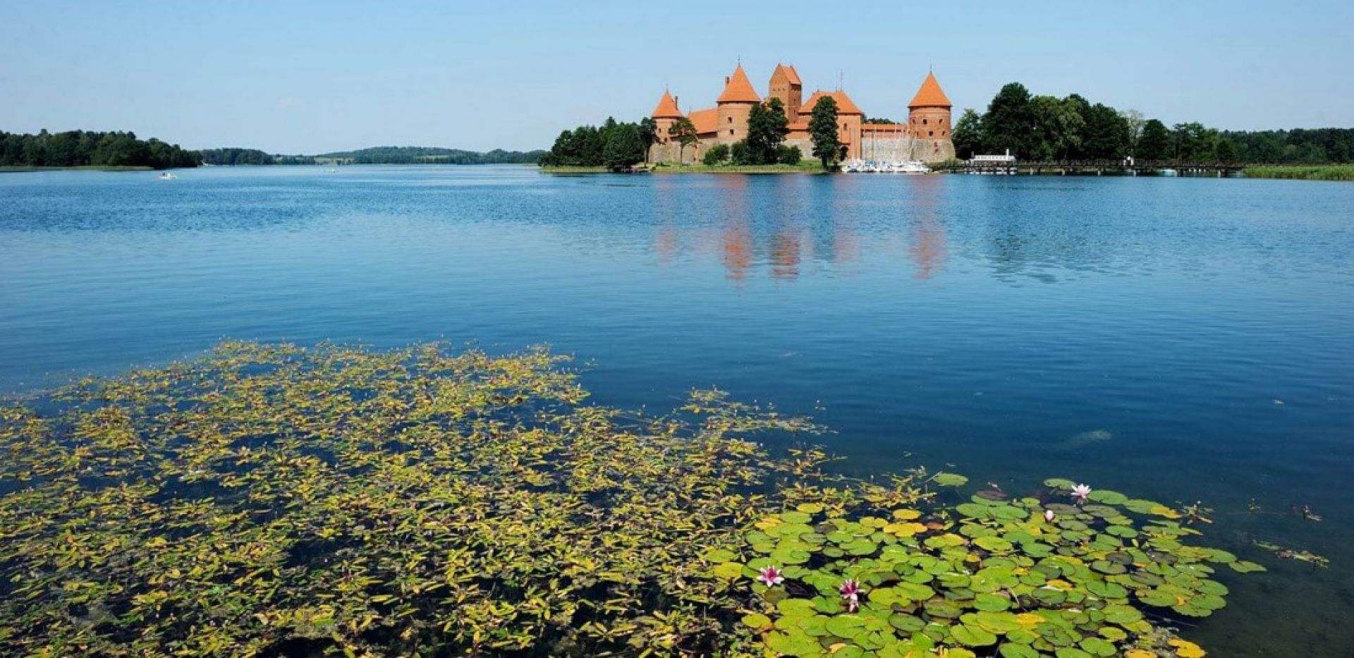 Прибалтика и Полша