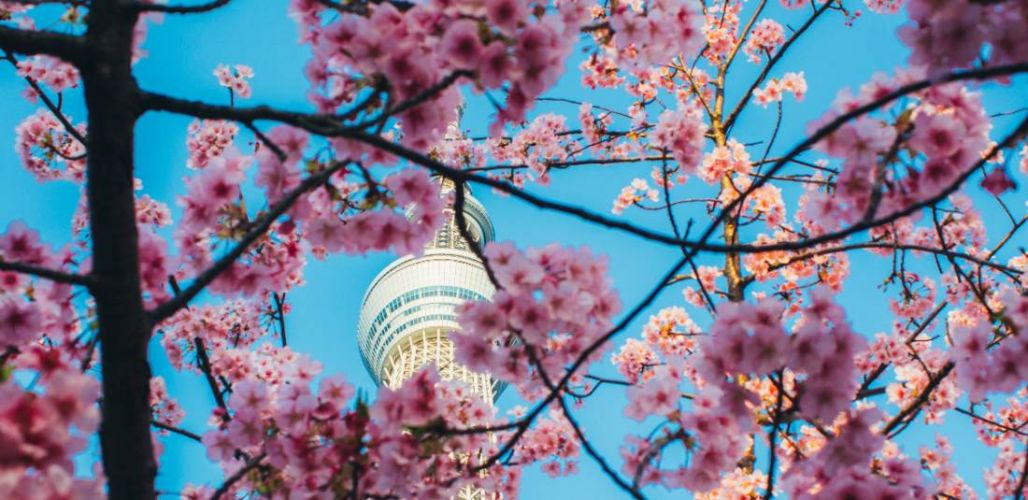 Настаняване в 4* или 5*