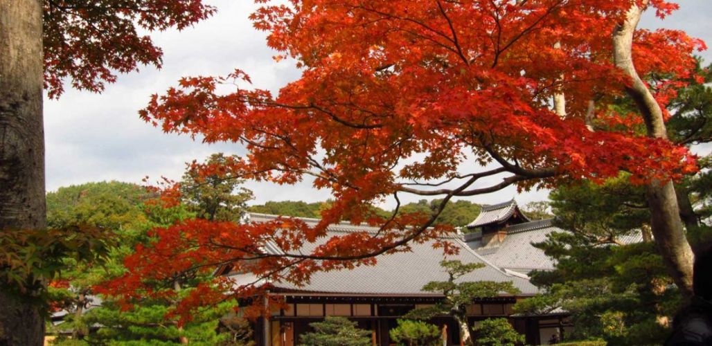 Настаняване в хотел 3*