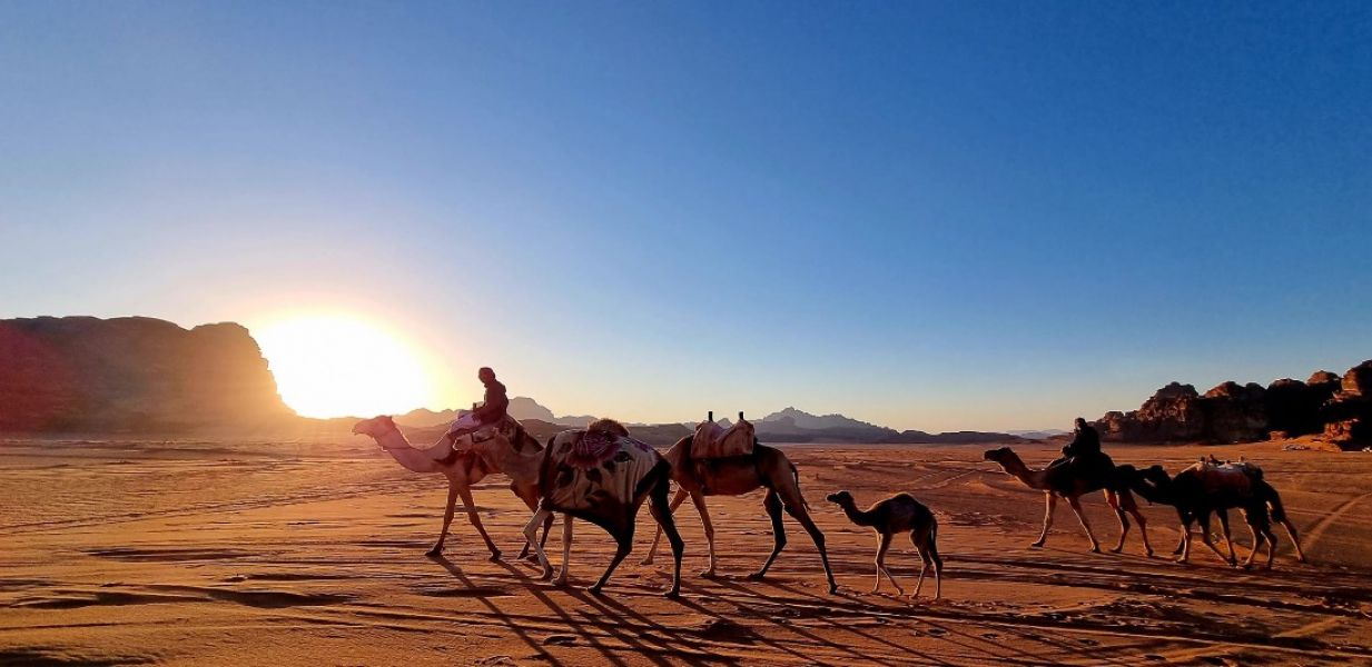 Йордания - четиридневна