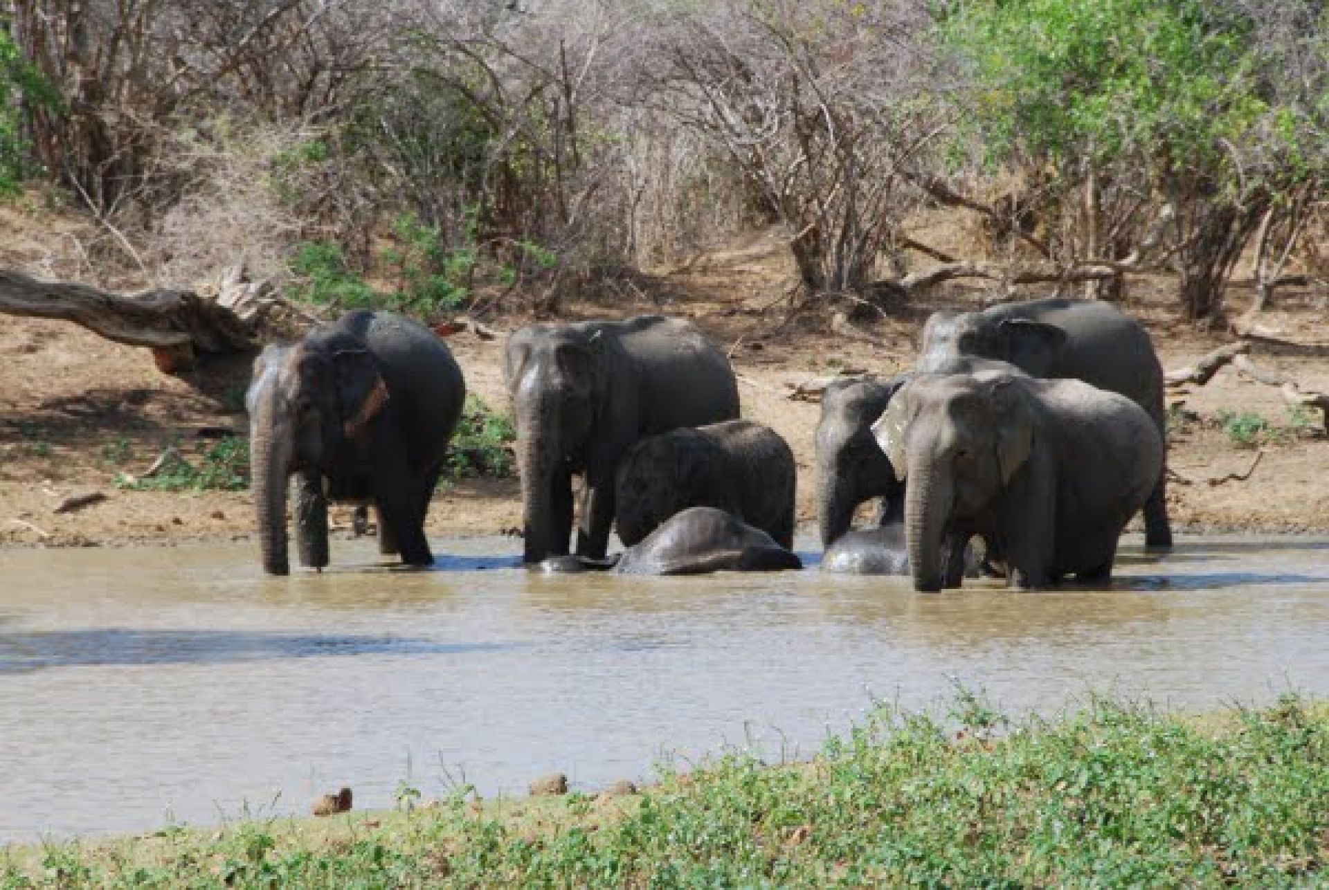 ШРИ ЛАНКА и МАЛДИВИ -  ОФОРМЕНА ГРУПА  13.09.2026