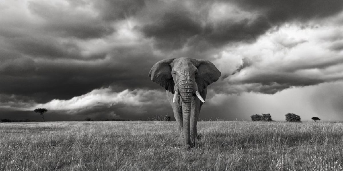 ЮЖНА АФРИКА, ЗИМБАБВЕ с водопада ВИКТОРИЯ, БОТСВАНА И НАМИБИЯ - 01.05.2026, 18.09.2026, 09.10.2026, 13.11.2026, 04.12.2026