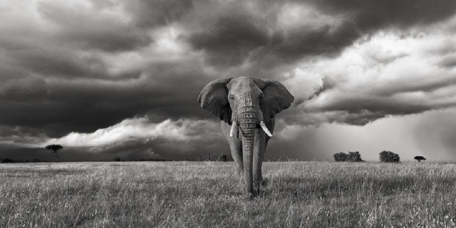 ЮЖНА АФРИКА, ЗИМБАБВЕ с водопада ВИКТОРИЯ, БОТСВАНА И НАМИБИЯ - 01.05.2026, 18.09.2026, 09.10.2026, 13.11.2026, 04.12.2026