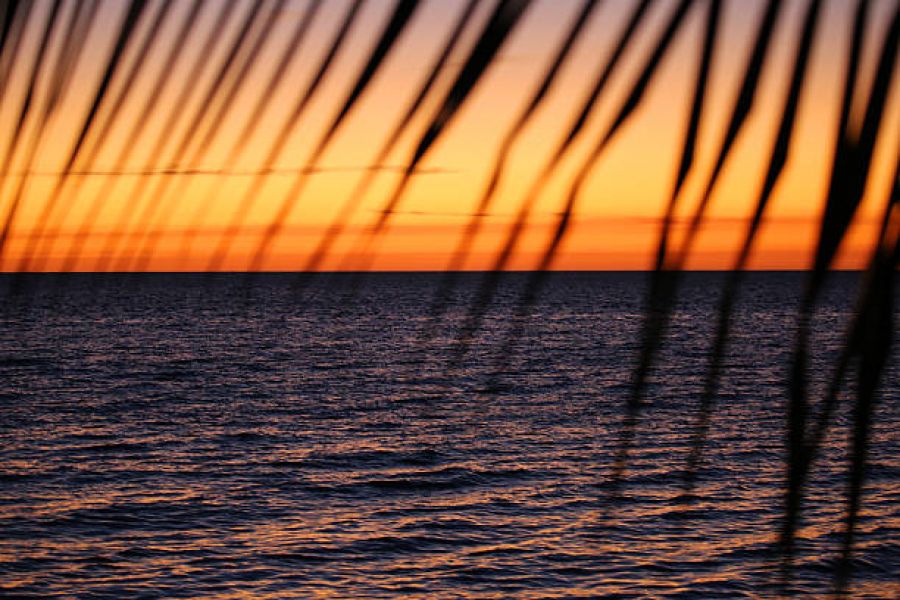 КУБА И ЯМАЙКА- II вар. 20.11.2026, 08.12.2026