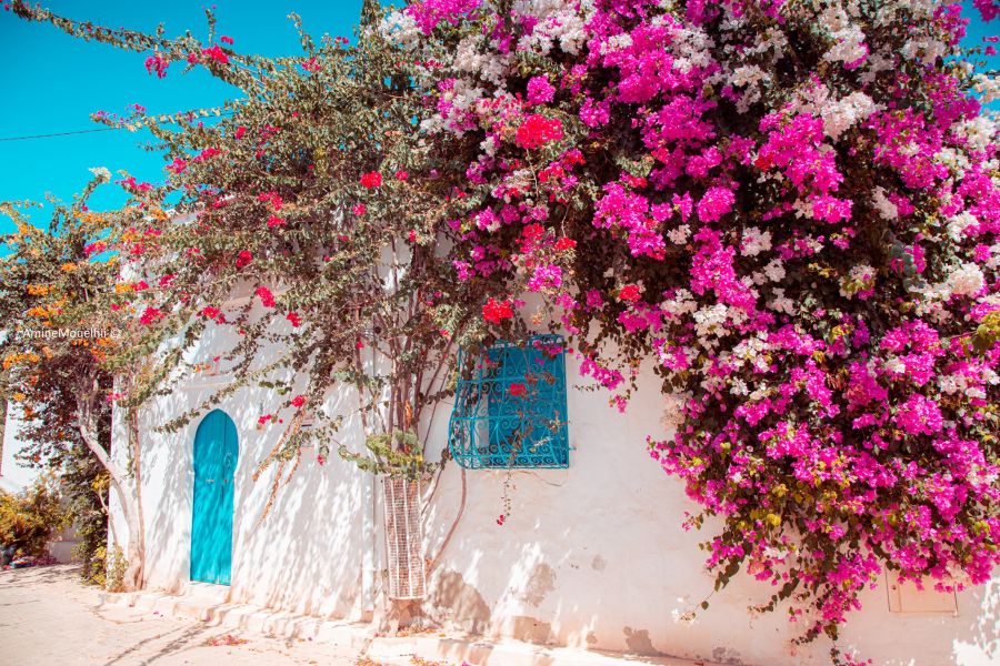 Ранни записвания Лято 2026! Почивка на о.Джерба, Тунис със самолет от София - 7 нощувки!