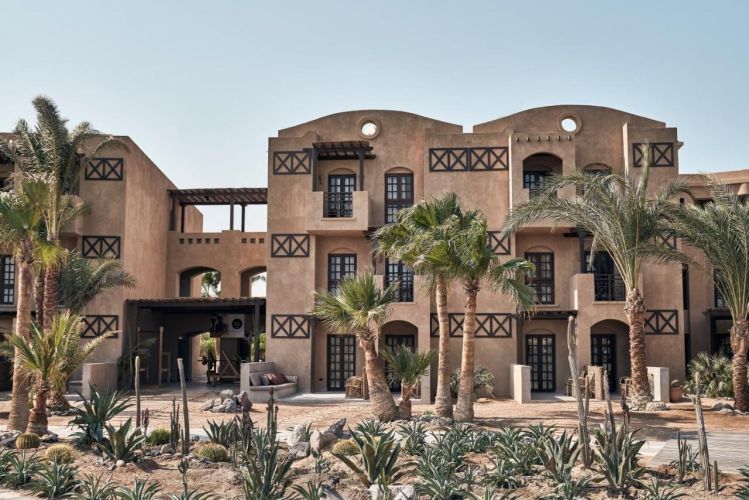 COOK'S CLUB EL GOUNA (ADULTS ONLY)